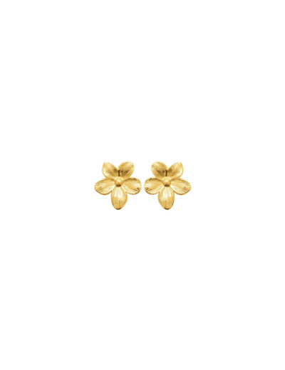 Boucles d'oreilles en acier doré