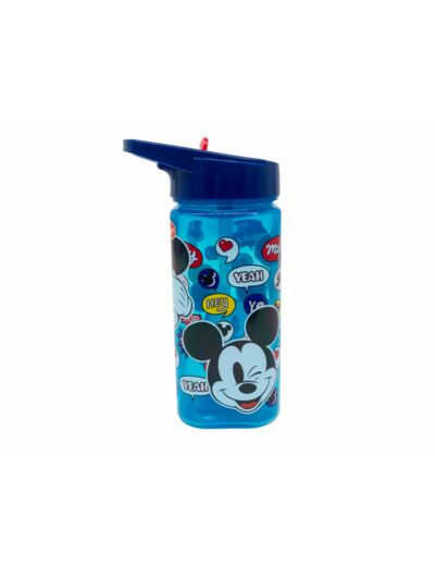 Gourde carré 530ml Mickey