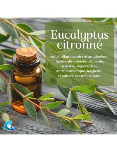 HUILE ESSENTIELLE D'EUCALYPTUS CITRONNE BIO CEVEN'AROMES 10ML