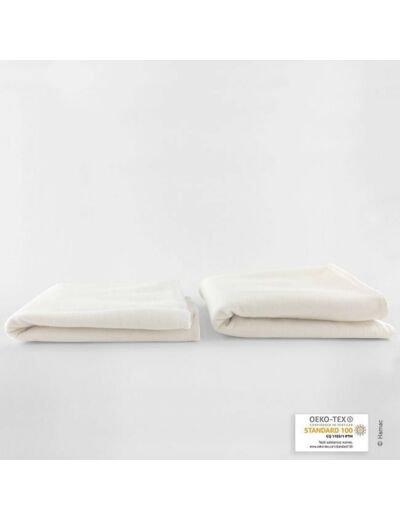 ABSORBANT LAVABLE COTON BIOLOGIQUE HAMAC X2