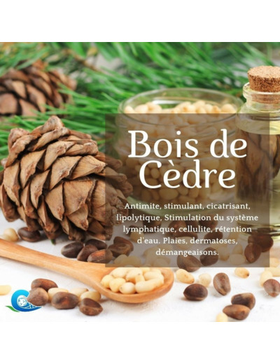 HUILE ESSENTIELLE DE BOIS DE CEDRE BIO CEVEN'AROMES 10ML