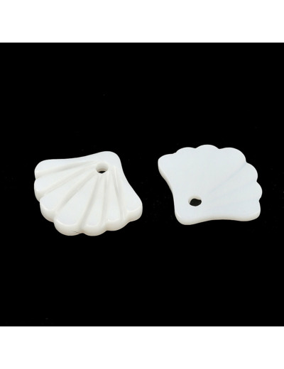 Nacre forme coquillage