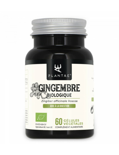 GINGEMBRE BIOLOGIQUE 60 GELULES