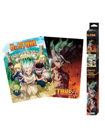 SET DE 2 POSTERS DR STONE