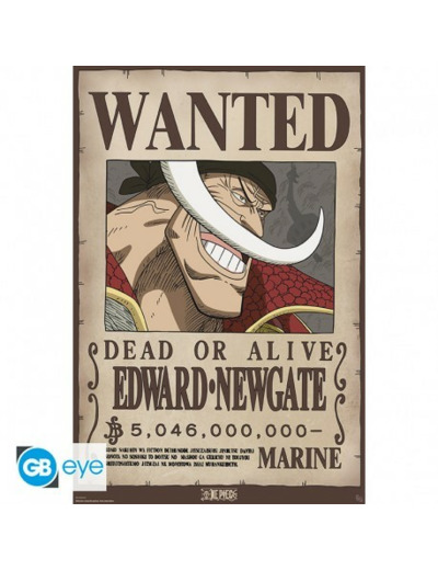 ONE PIECE - Poster Maxi 91,5x61 - Wanted Whitebeard