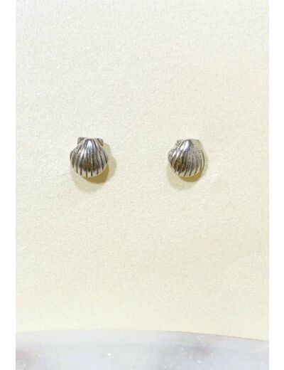 Boucles Puces Coquillage - Argent Massif