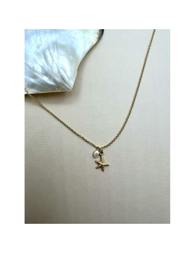 Collier ras de cou Indriya Etoile de mer en vermeil