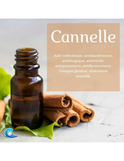 HUILE ESSENTIELLE DE CANNELLE BIO CEVEN'AROMES 10ML