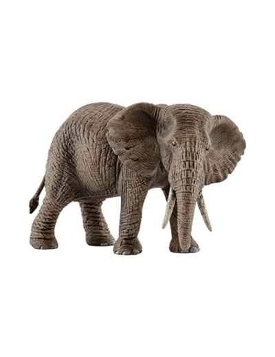 Elephant D'Afrique Femelle -Schleich- 14761