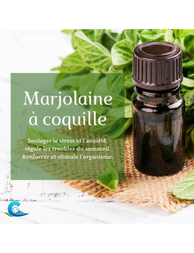 HUILE ESSENTIELLE DE MARJOLAINE A COQUILLES BIO CEVEN'AROMES 10ML