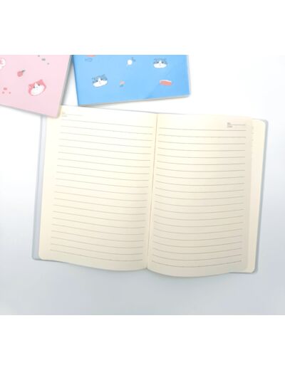 CAHIER CHAT PASTEL