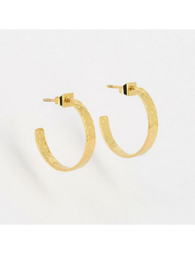 Boucles d'oreilles ZAG en acier doré