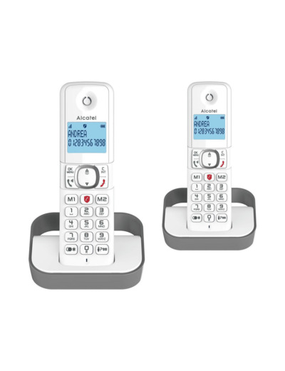 TELEPHONE FIXE F860 DUO